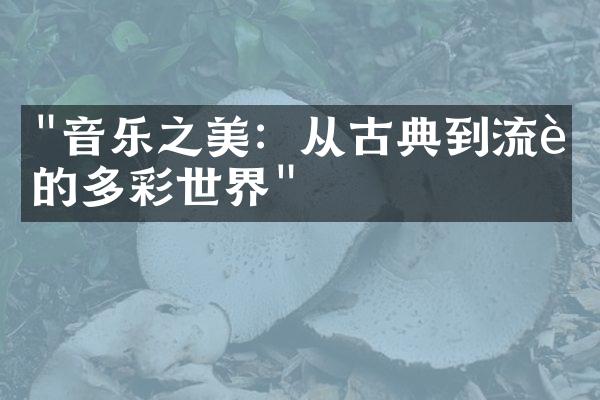 "音乐之美：从古典到流行的多彩世界"