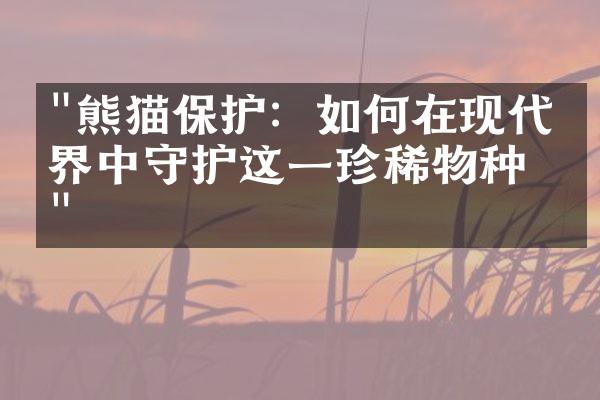 "熊猫保护：如何在现代世界中守护这一珍稀物种？"