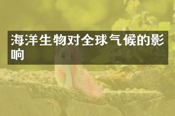 海洋生物对全球气候的影响