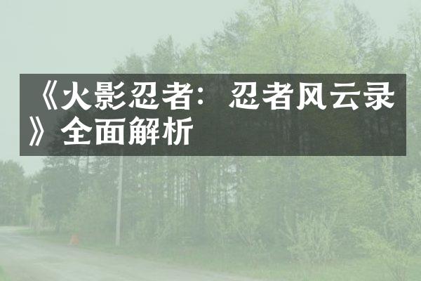 《火影忍者：忍者风云录》全面解析