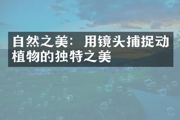 自然之美：用镜头捕捉动植物的独特之美