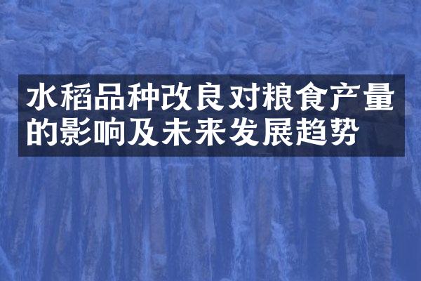 水稻品种改良对粮食产量的影响及未来发展趋势