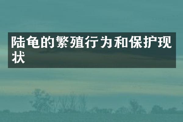 陆龟的繁殖行为和保护现状