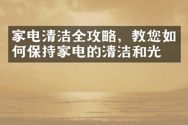 家电清洁全攻略，教您如何保持家电的清洁和光亮