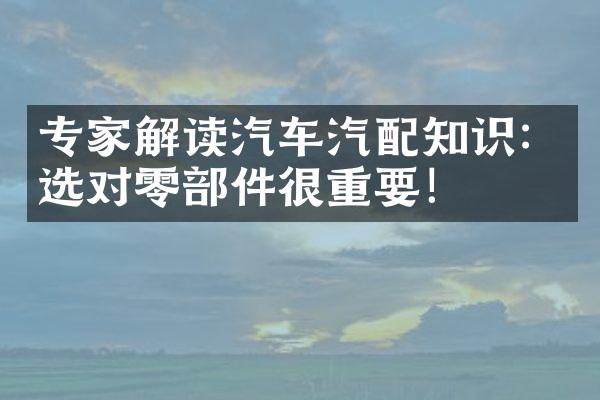 专家解读汽车汽配知识：选对零部件很重要！