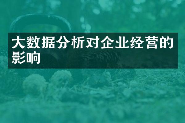 大数据分析对企业经营的影响