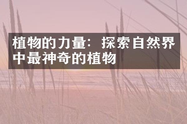 植物的力量：探索自然界中最神奇的植物