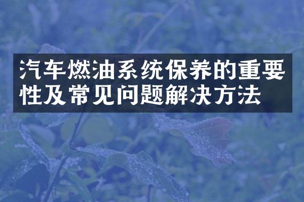 汽车燃油系统保养的重要性及常见问题解决方法