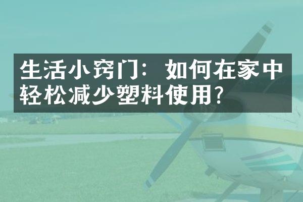 生活小窍门：如何在家中轻松减少塑料使用？