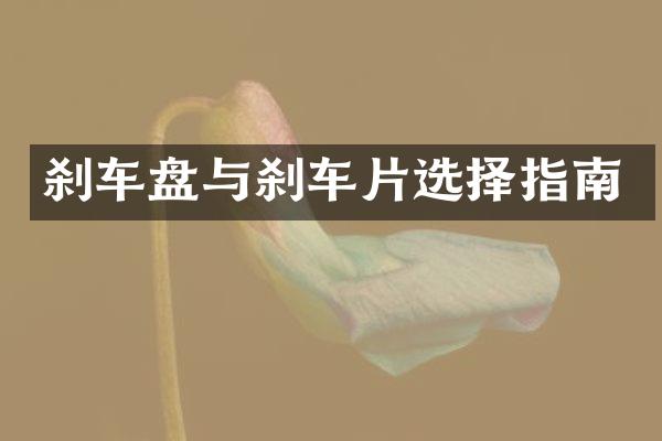 刹车盘与刹车片选择指南