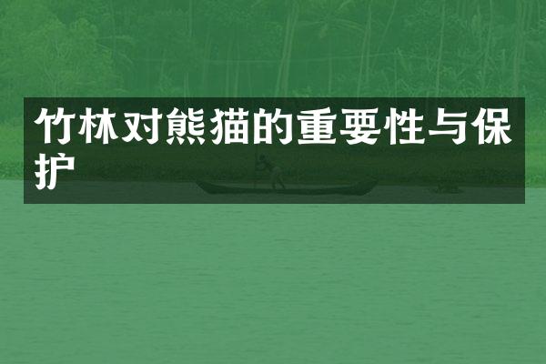 竹林对熊猫的重要性与保护