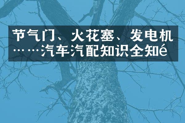 节气门、火花塞、发电机……汽车汽配知识全知道