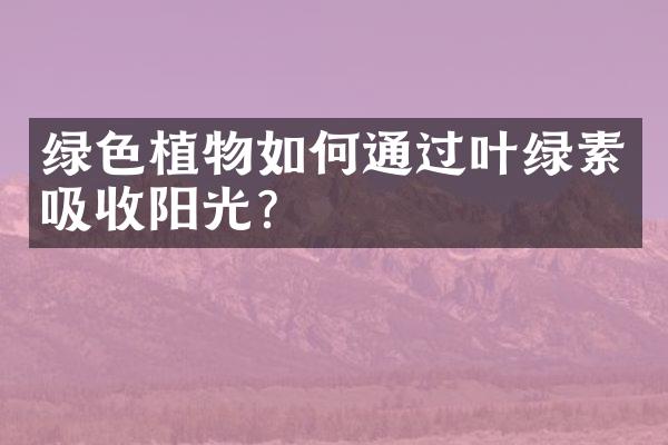 绿色植物如何通过叶绿素吸收阳光？