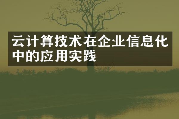 云计算技术在企业信息化中的应用实践