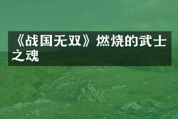 《战国无双》燃烧的武士之魂