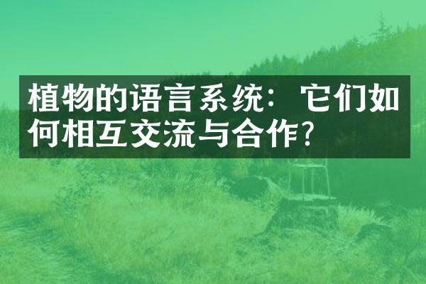 植物的语言系统：它们如何相互交流与合作？