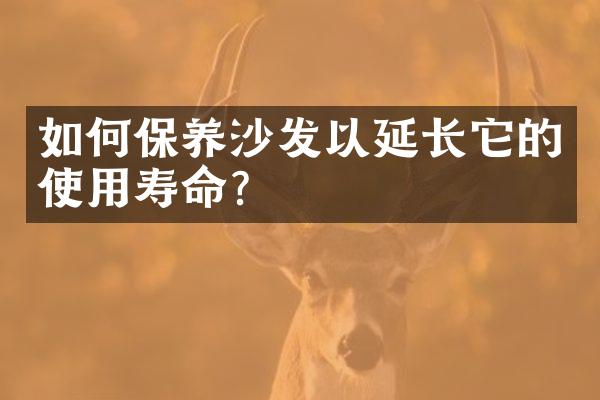 如何保养沙发以延长它的使用寿命？