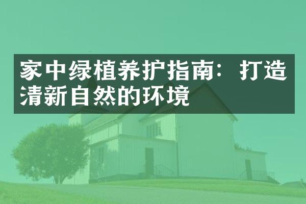 家中绿植养护指南：打造清新自然的环境