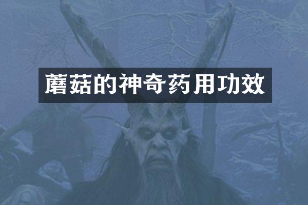 蘑菇的神奇药用功效