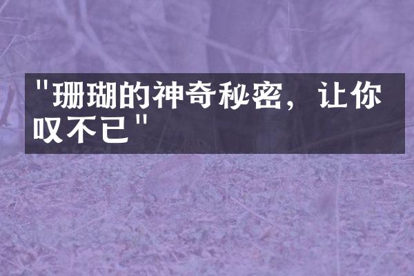 "珊瑚的神奇秘密，让你惊叹不已"