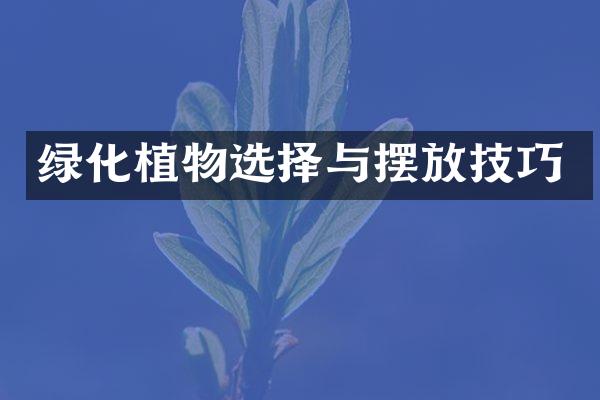 绿化植物选择与摆放技巧