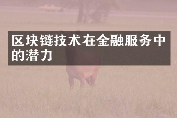 区块链技术在金融服务中的潜力