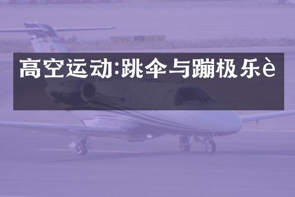 高空运动:跳伞与蹦极乐趣