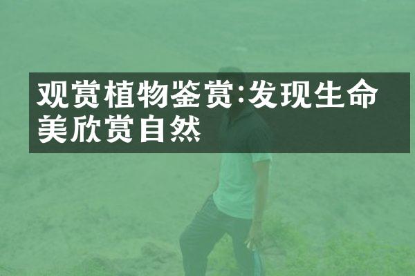 观赏植物鉴赏:发现生命之美欣赏自然