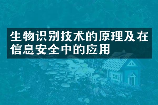 生物识别技术的原理及在信息安全中的应用