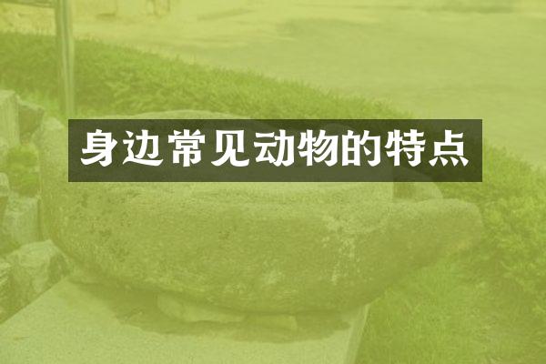 身边常见动物的特点