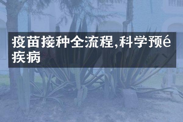 疫苗接种全流程,科学预防疾病