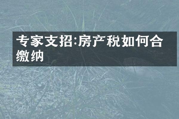 专家支招:房产税如何合理缴纳