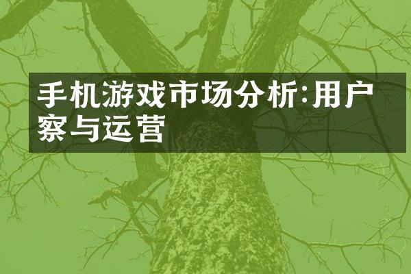 手机游戏市场分析:用户洞察与运营