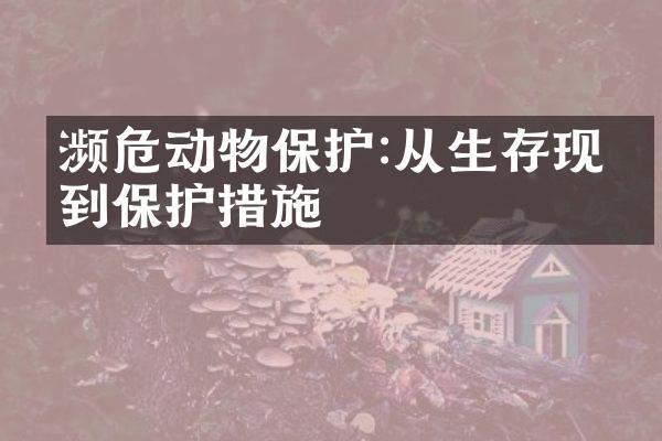 濒危动物保护:从生存现状到保护措施