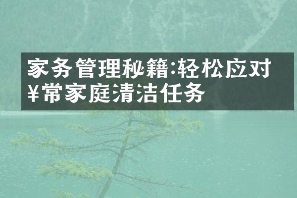 家务管理秘籍:轻松应对日常家庭清洁任务