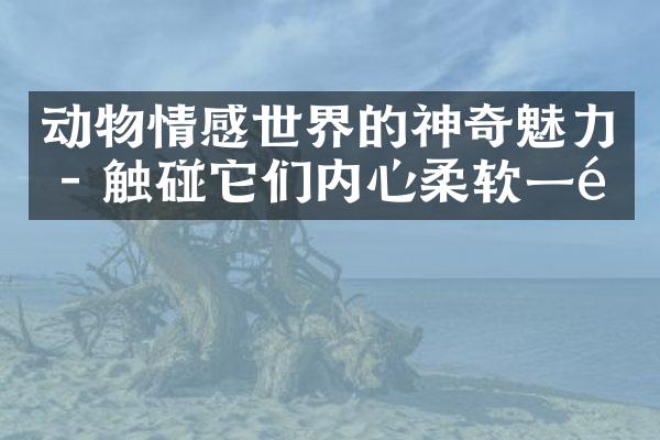 动物情感世界的神奇魅力 - 触碰它们内心柔软一面