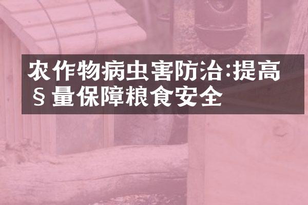 农作物病虫害防治:提高产量保障粮食安全