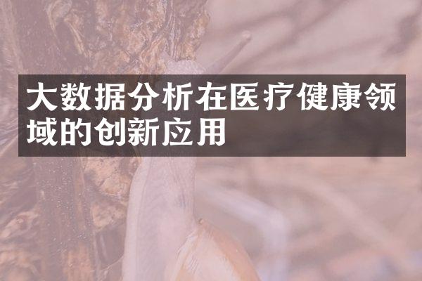 大数据分析在医疗健康领域的创新应用