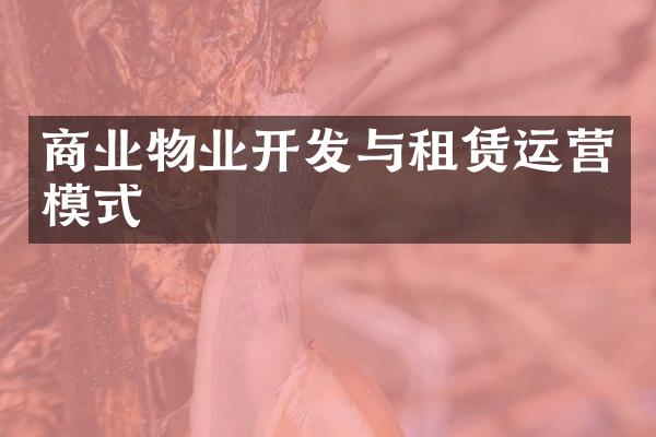 商业物业开发与租赁运营模式