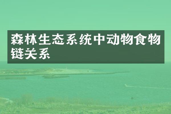 森林生态系统中动物食物链关系