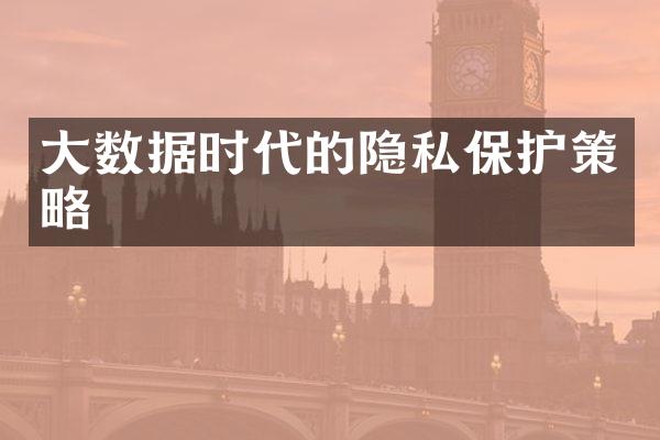 大数据时代的隐私保护策略
