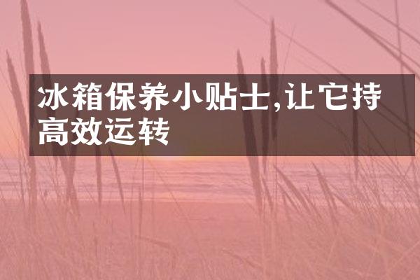 冰箱保养小贴士,让它持久高效运转