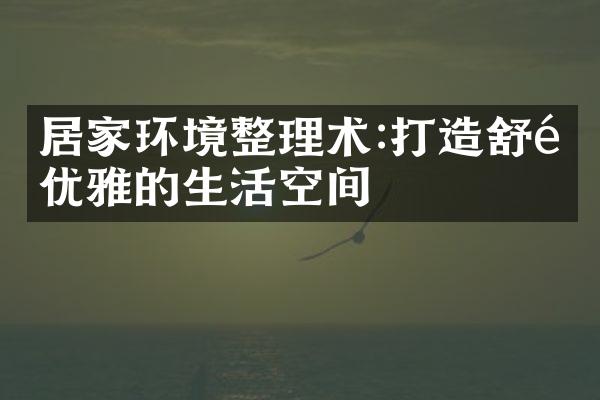 居家环境整理术:打造舒适优雅的生活空间