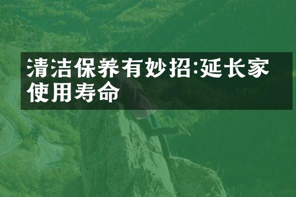 清洁保养有妙招:延长家电使用寿命