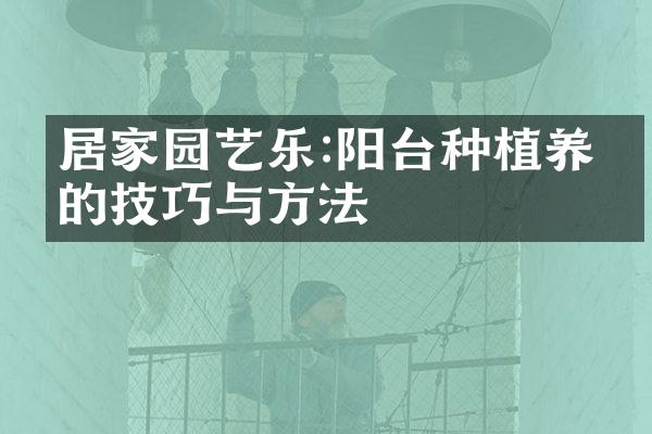 居家园艺乐:阳台种植养殖的技巧与方法