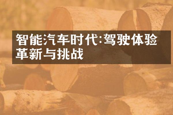 智能汽车时代:驾驶体验的革新与挑战