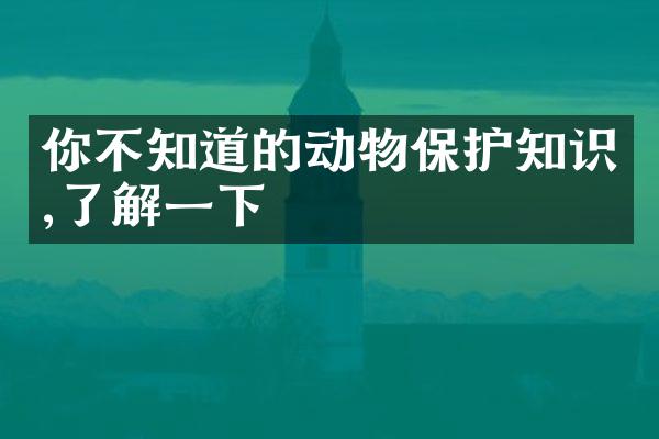 你不知道的动物保护知识,了解一下