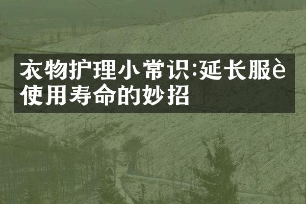 衣物护理小常识:延长服装使用寿命的妙招