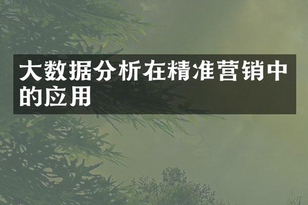 大数据分析在精准营销中的应用