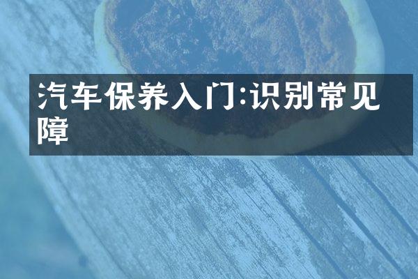 汽车保养入门:识别常见故障